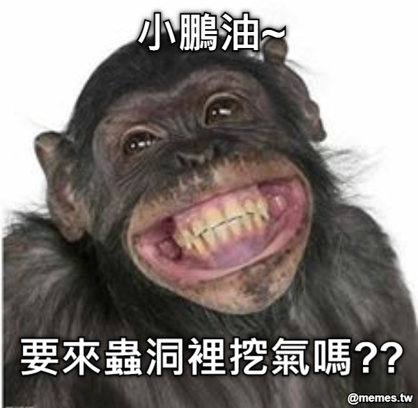 小鵬油~ 要來蟲洞裡挖氣嗎??