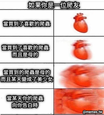 如果你是一位爬友 當買到了喜歡的爬蟲 當買到了喜歡的爬蟲 而且是母的 當買到的爬蟲是母的 而且某天變成了美少女 當某天你的爬蟲 向你告白時