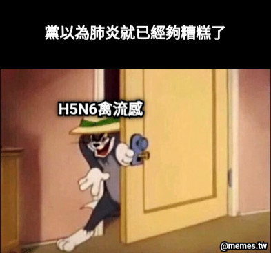 黨以為肺炎就已經夠糟糕了 H5N6禽流感