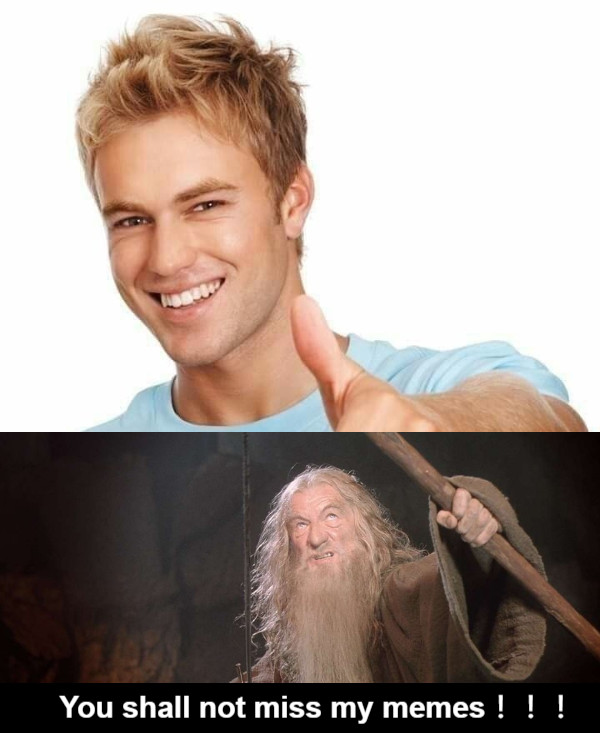 You shall not miss my memes！！！