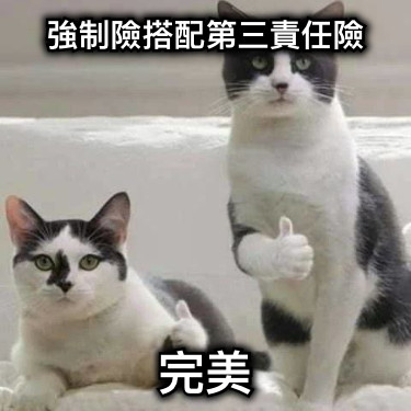 強制險搭配第三責任險 完美