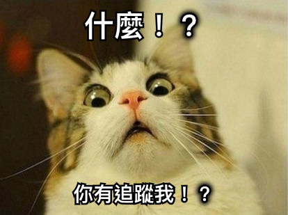 什麼！？ 你有追蹤我！？