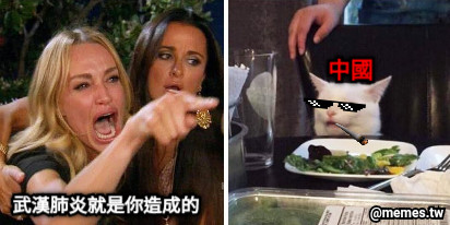 武漢肺炎就是你造成的 中國
