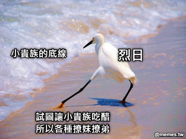 小貴族的底線 烈日 試圖讓小貴族吃醋 所以各種撩妹撩弟
