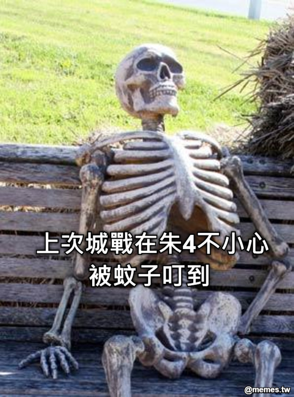 上次城戰在朱4不小心被蚊子叮到