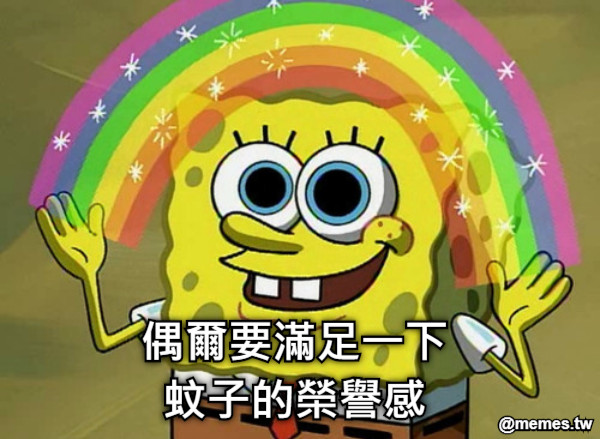 偶爾要滿足一下 蚊子的榮譽感