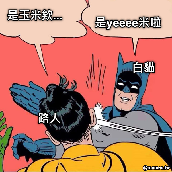 是玉米欸... 是yeeee米啦 白貓 路人