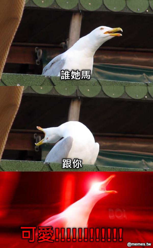 誰她馬 跟你 可愛!!!!!!!!!!!!