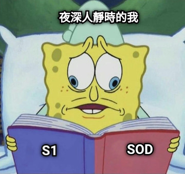 S1 SOD 夜深人靜時的我