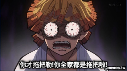 你才拖把勒!你全家都是拖把啦!