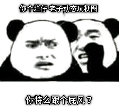 你个烂仔 老子动态玩梗图 你特么跟个屁风？