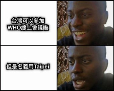 台灣可以參加 WHO線上會議啦 但是名義用Taipei