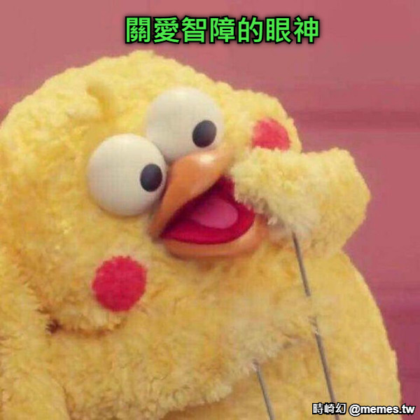 關愛智障的眼神
