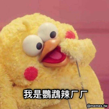 我是鸚鵡辣ㄏㄏ