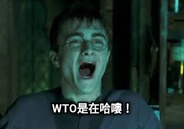 WTO是在哈嘍！