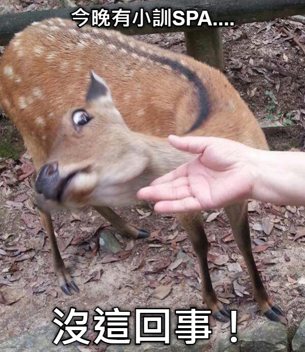 今晚有小訓SPA.... 沒這回事！