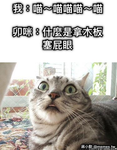 我：喵～喵喵喵～喵 卯咪：什麼是拿木板塞屁眼