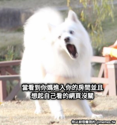 當看到你媽進入你的房間並且想起自己看的網頁沒關