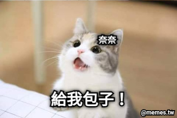 給我包子！ 奈奈