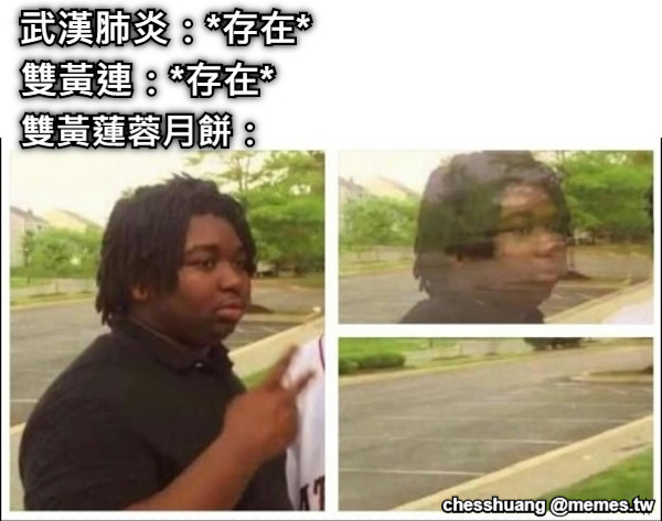 武漢肺炎：*存在* 雙黃連：*存在* 雙黃蓮蓉月餅：
