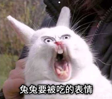 兔兔要被吃的表情