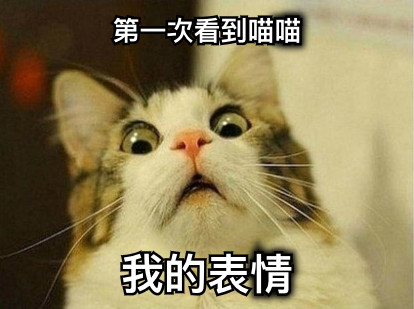第一次看到喵喵 我的表情