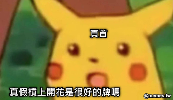 真假槓上開花是很好的牌嗎 頁首