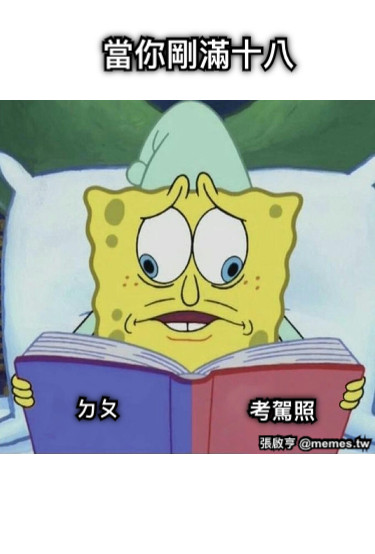 當你剛滿十八 ㄉㄆ 考駕照