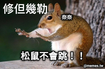 奈奈 松鼠不會跳！！