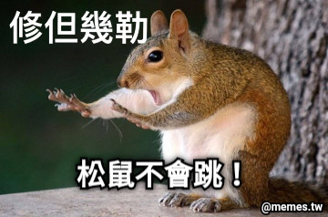 松鼠不會跳！