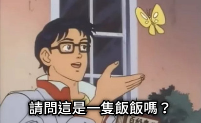 請問這是一隻飯飯嗎？