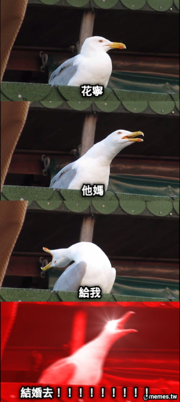 給我 花寧 他媽 結婚去！！！！！！！！！