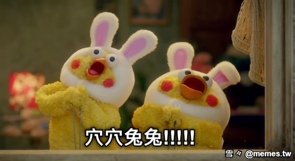 穴穴兔兔!!!!!
