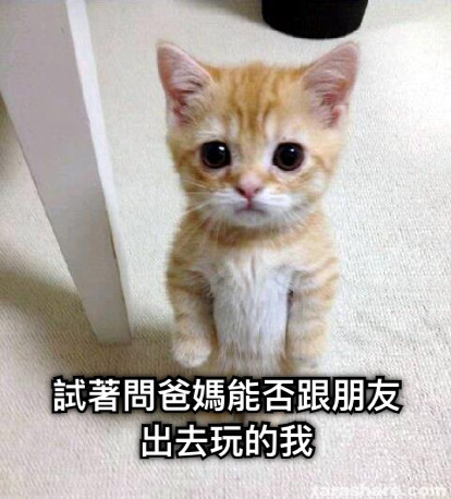 試著問爸媽能否跟朋友出去玩的我