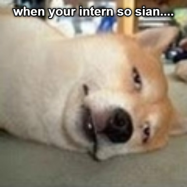 when your intern so sian....