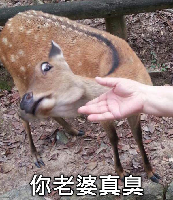 你老婆真臭