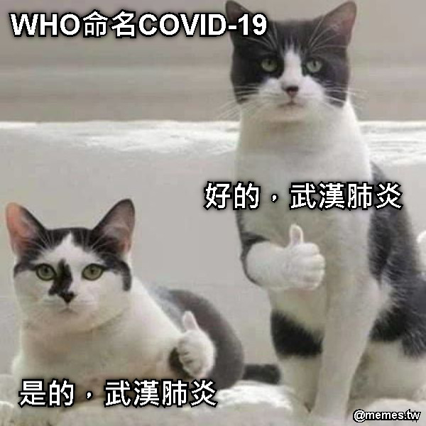 WHO命名COVID-19 好的，武漢肺炎 是的，武漢肺炎