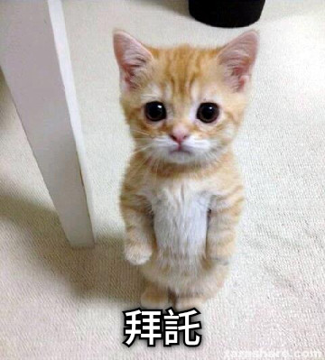 拜託