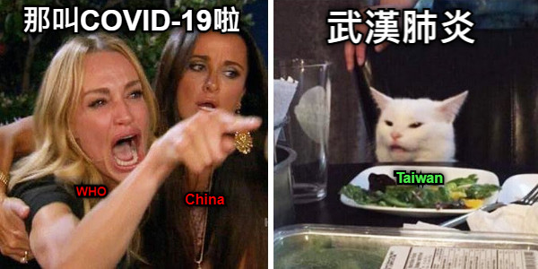 那叫COVID-19啦 武漢肺炎 WHO China Taiwan
