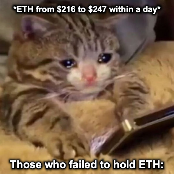 *ETH from $216 to $247 within a day* Those who failed to hold ETH:
