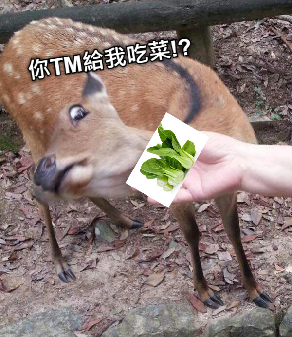 你TM給我吃菜!?