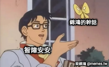 錦鴻的幹話 智障安安