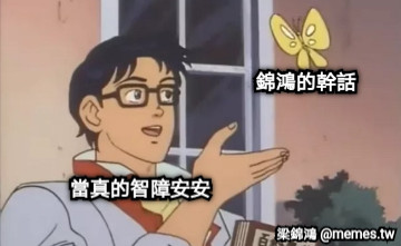 錦鴻的幹話 當真的智障安安