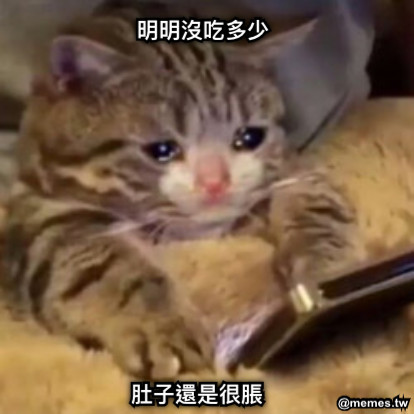 肚子還是很脹 明明沒吃多少