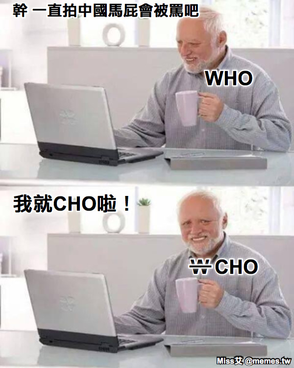幹 一直拍中國馬屁會被罵吧 WHO 我就CHO啦！ W CHO __
