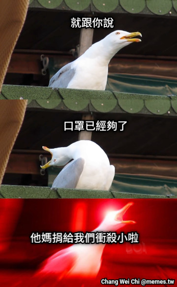 就跟你說 口罩已經夠了 他媽捐給我們衝殺小啦