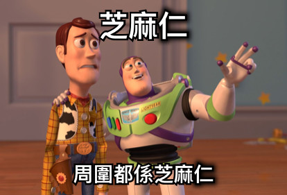 芝麻仁 周圍都係芝麻仁