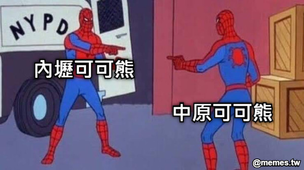 內壢可可熊 中原可可熊