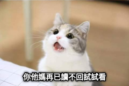 你他媽再已讀不回試試看