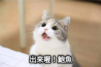出來喔！鮑魚